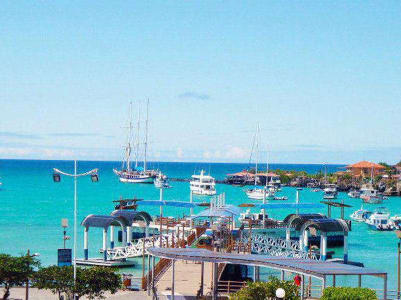 Diving: Itinerario Shark 5D/4N