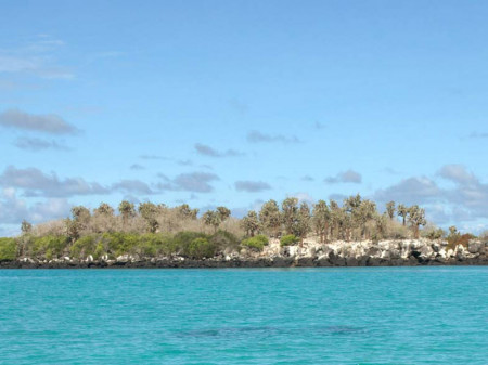 Isla Pinzón