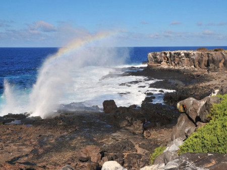 Punta Suarez (Española) 